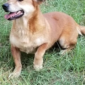 Meet your Posher, Nicholas